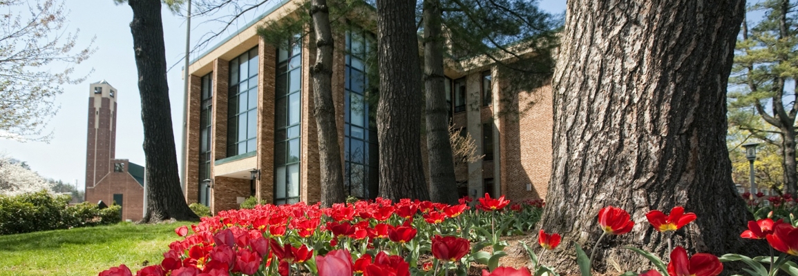 Administration building in spring with tulips in foreground 
